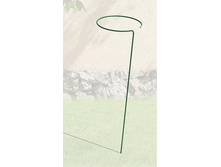 ����� ��� ������ ������� �������.jpg