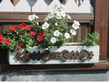 �������  (�����,  �������)