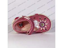 650 ���_����� ���� 455 ���