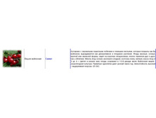 ����� �����.jpg