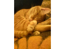 ������ 14-1.jpg