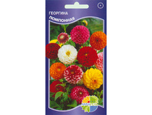 �������� ���������_11,00+%