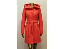 ���� 4100 �.