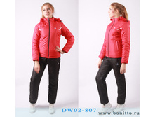 1199 ���, ���. ���������� ������ DW02-807