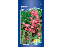 ������� �������-�������_8,80+%