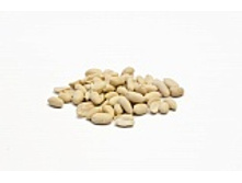 ������ ��������������. 5 ��. 825 ���.jpg