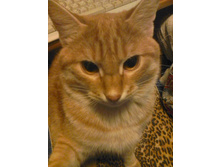 ������� 14-1.jpg