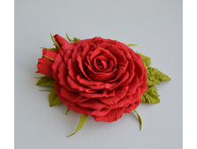 ����. �������� ��������� (������): �����, �������-�������, �������-�����, ������, ����������� ������� � �.�.