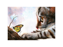 ���� � �������� 27 �� 38 Ag 415-846  ���..jpg