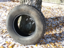 20141019_112523.jpg