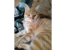 ������ 14-4.jpg