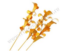 image167 - ����� - ����� - �����.png