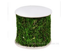 image517 - �����.png