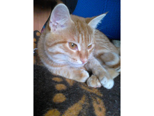 ������� 14-5.jpg