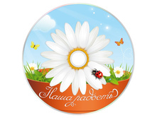 DVD «���� ������� 50�.