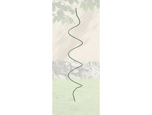 ����� ������� �����.jpg