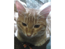 ������ 14-12.jpg