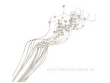 image247 - ����� - ����� - �����.png