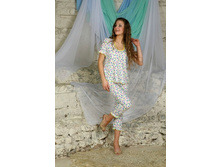 ������ ������� ��-11