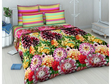 39_951 4275-1 ��� 2�� �������� ����.jpg