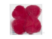 image430 - �����.png