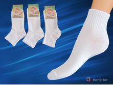 ������� ����� SANDRA 00-11 00-11.jpg