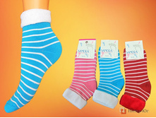 ������� �������� ����� SANDRA 00-31 00-31.jpg