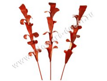 image163 - ����� - ����� - �����.png