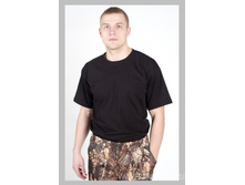 ������ 301.jpg