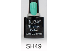 Bluesky SH 49