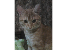 ������� 14-6.jpg