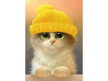 ����� ����� 19 �� 27 Ag 004- 585 ���..jpg