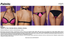 Palmito ���������.jpg