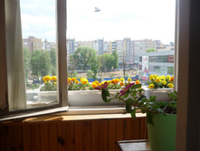 P1030059.jpg
