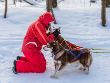 _MG_6896.jpg