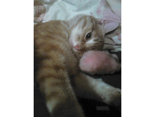 ������ 14-9.jpg