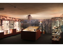 ����� � ����� ���������