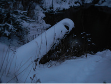DSCN4268.JPG