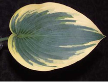 ����� �����(No3-4)