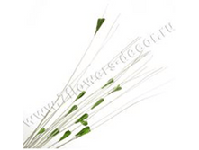 image235 - ����� - ����� - �����.png