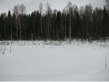 IMG_6566.JPG