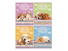 ������� 24� ���