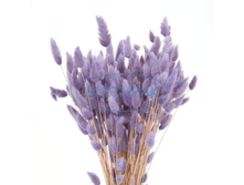 ������� ������� 70 ��  100 �