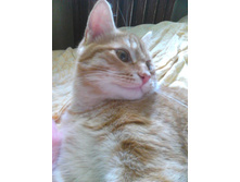 �������� 14-2.jpg