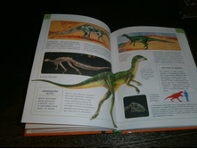 GEDC0534.JPG