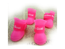 ��������� ������ ������� .jpg ���� 197 ���. ���� �� ����� 99 ���.