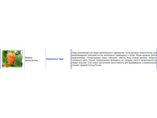 ������ ������������ ��������� ����.jpg