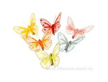 image604 - �����.png