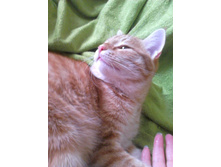 ������ 14-7.jpg