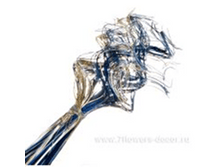 image136 - ����� - ����� - �����.png